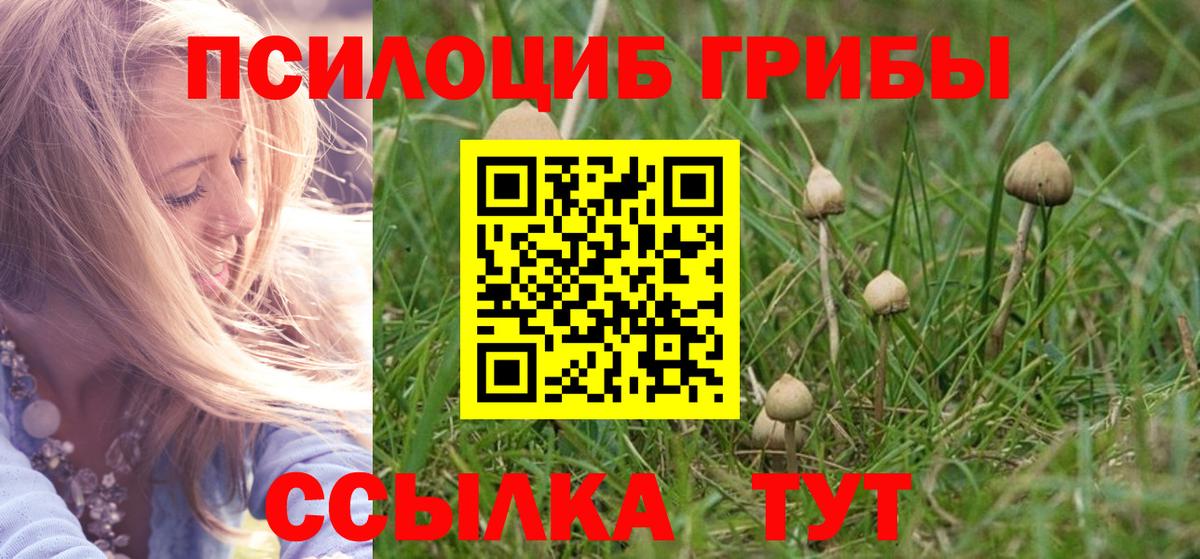 Галлюциногенные грибы Magic Shrooms Сатка